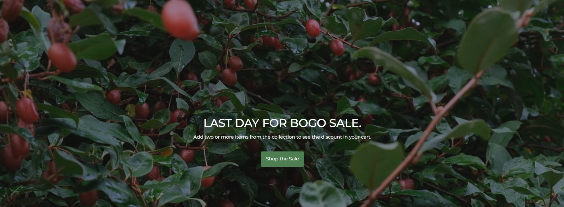 Grow Your Own Edible Paradise